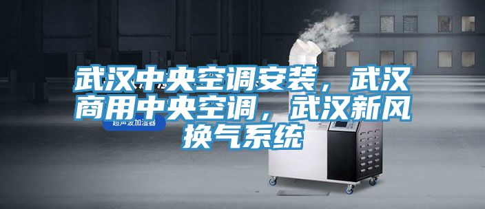 武漢中央空調(diào)安裝，武漢商用中央空調(diào)，武漢新風換氣系統(tǒng)