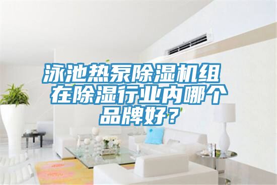 泳池熱泵除濕機組 在除濕行業內哪個品牌好？