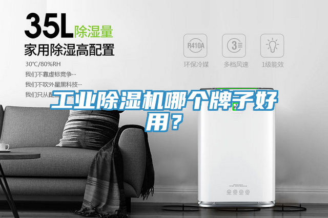 工業(yè)除濕機(jī)哪個牌子好用？