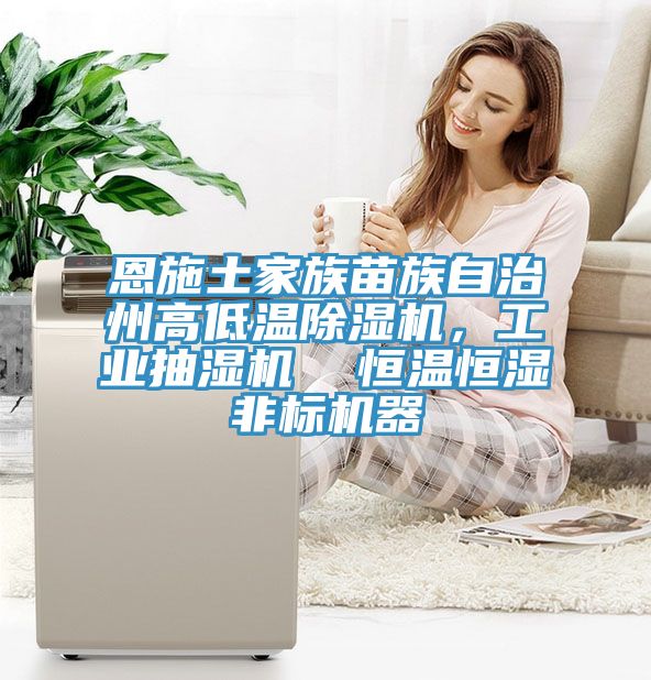 恩施土家族苗族自治州高低溫除濕機，工業抽濕機  恒溫恒濕非標機器