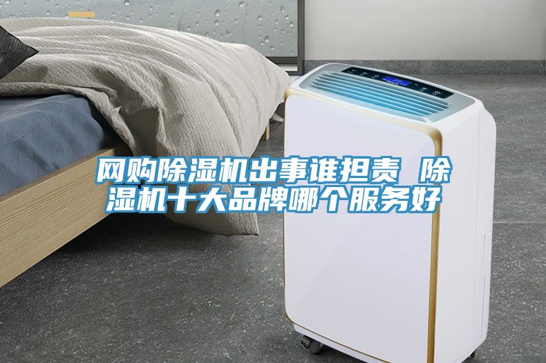 網(wǎng)購除濕機(jī)出事誰擔(dān)責(zé) 除濕機(jī)十大品牌哪個服務(wù)好