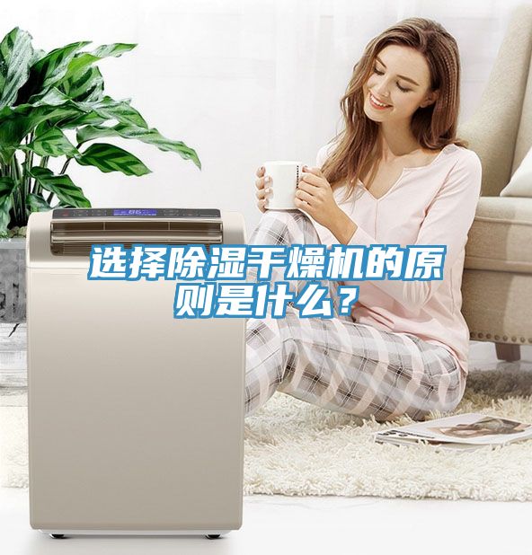 選擇除濕干燥機的原則是什么？