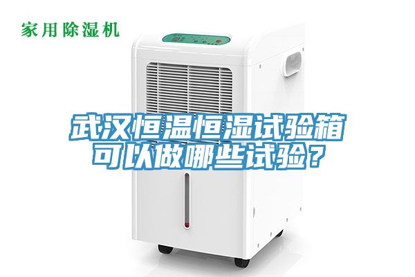 武漢恒溫恒濕試驗箱可以做哪些試驗？