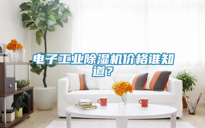 電子工業(yè)除濕機價格誰知道？