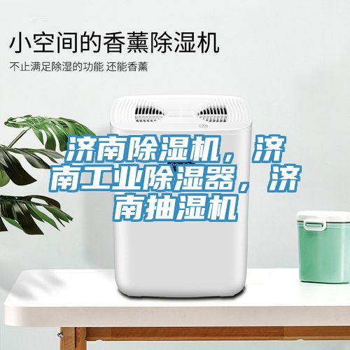 濟南除濕機，濟南工業除濕器，濟南抽濕機