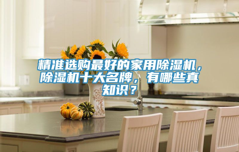 精準選購最好的家用除濕機，除濕機十大名牌，有哪些真知識？