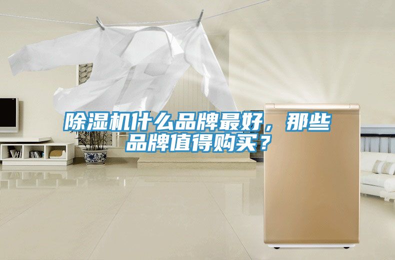 除濕機(jī)什么品牌最好，那些品牌值得購(gòu)買？