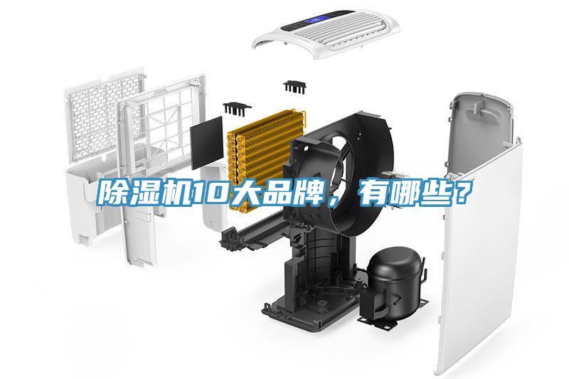 除濕機10大品牌，有哪些？