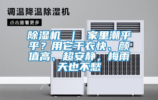 除濕機 ｜ 家里潮乎乎？用它干衣快、顏值高、超安靜，梅雨天也不愁