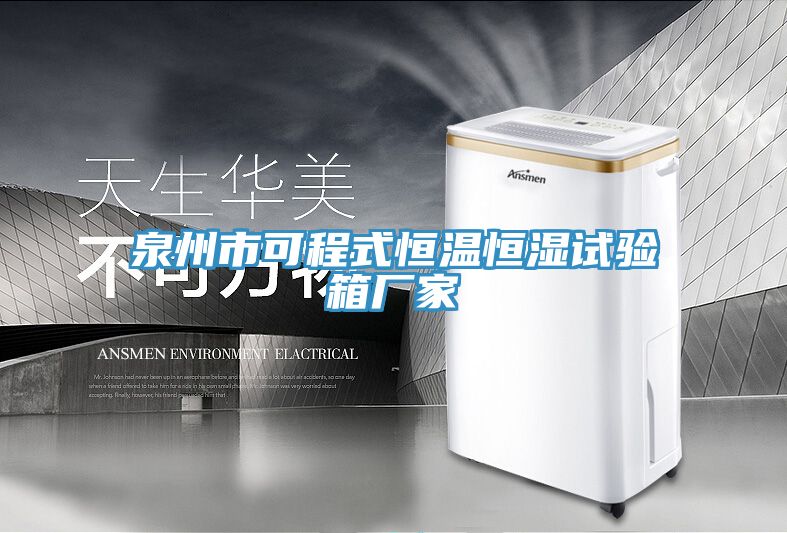 泉州市可程式恒溫恒濕試驗(yàn)箱廠(chǎng)家