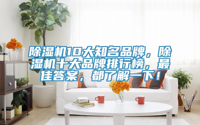除濕機10大知名品牌，除濕機十大品牌排行榜，最佳答案，都了解一下！