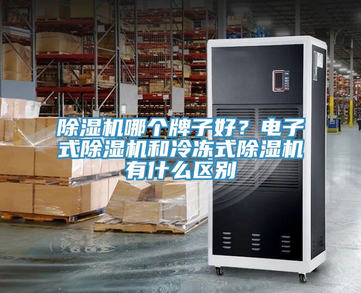 除濕機哪個牌子好？電子式除濕機和冷凍式除濕機有什么區別