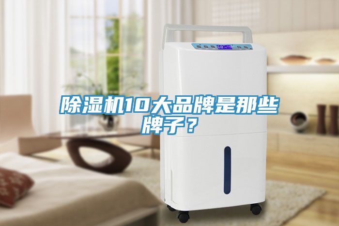除濕機10大品牌是那些牌子？