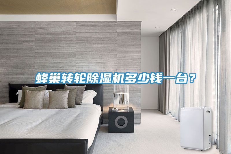 蜂巢轉輪除濕機多少錢一臺？