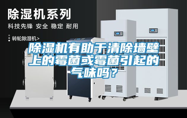 除濕機有助于清除墻壁上的霉菌或霉菌引起的氣味嗎？