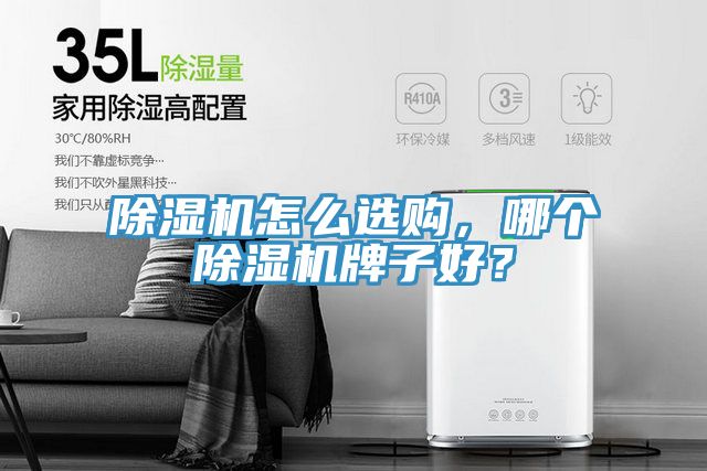 除濕機怎么選購，哪個除濕機牌子好？