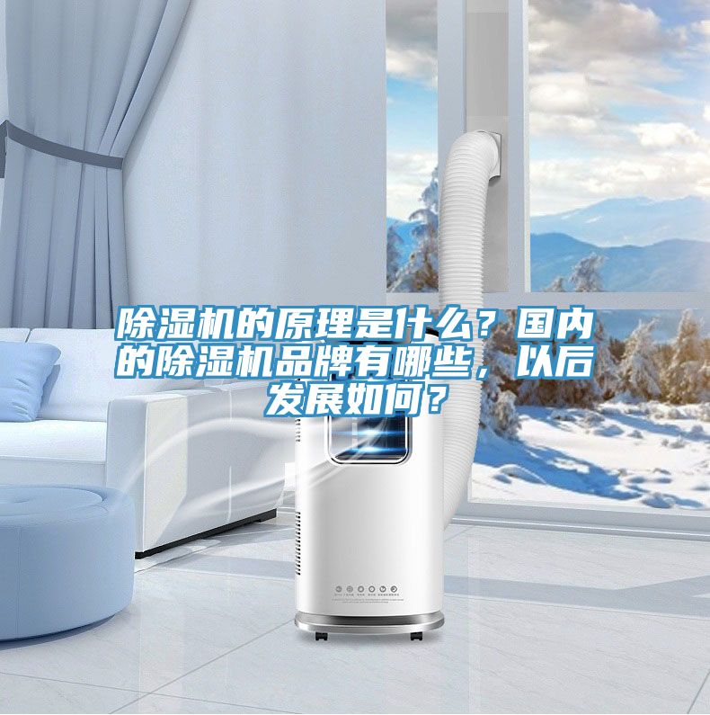 除濕機的原理是什么？國內的除濕機品牌有哪些，以后發(fā)展如何？