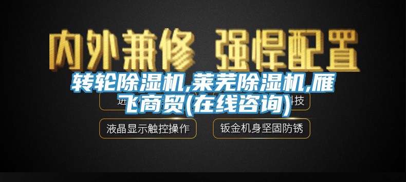 轉輪除濕機,萊蕪除濕機,雁飛商貿(mào)(在線咨詢)
