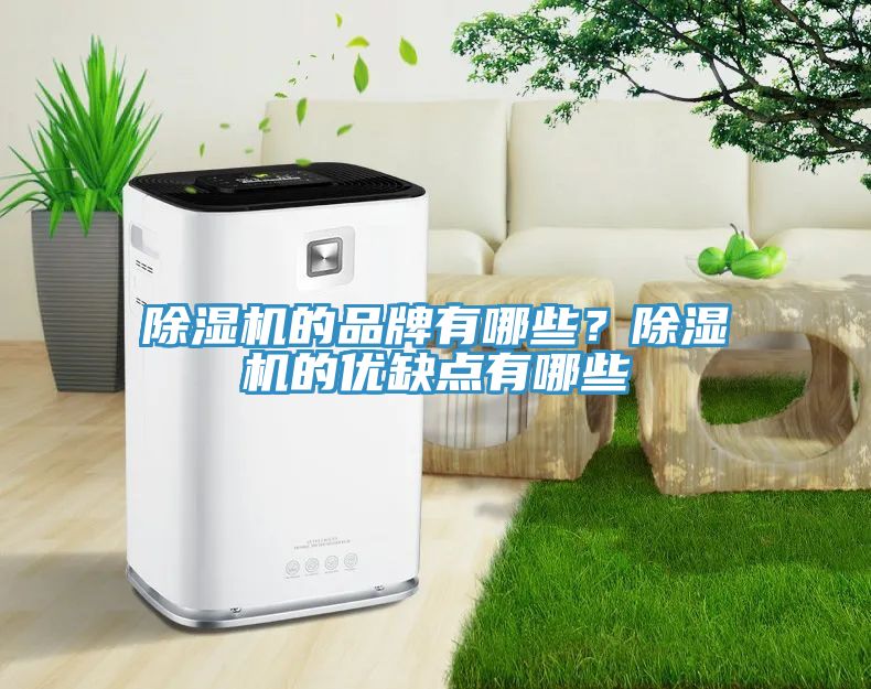 除濕機(jī)的品牌有哪些？除濕機(jī)的優(yōu)缺點(diǎn)有哪些