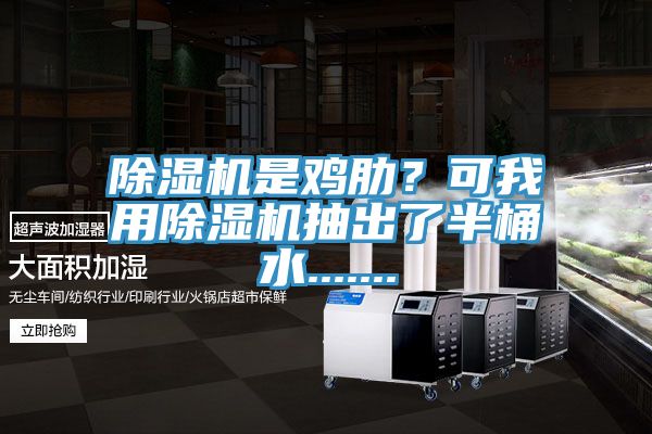 除濕機是雞肋？可我用除濕機抽出了半桶水.......