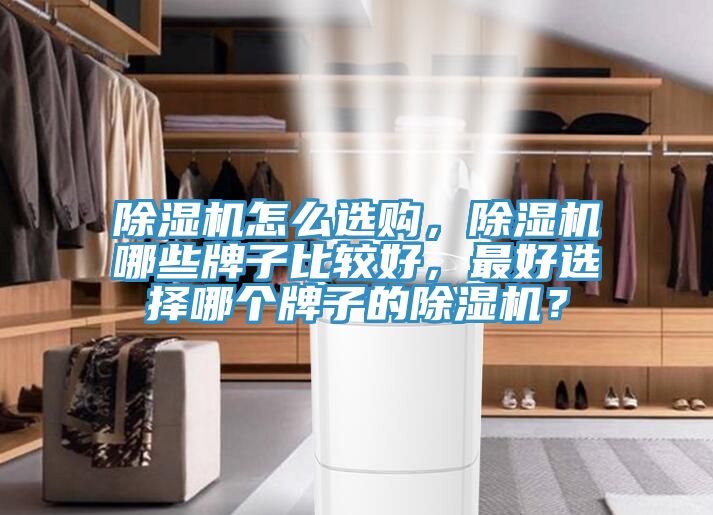 除濕機怎么選購，除濕機哪些牌子比較好，最好選擇哪個牌子的除濕機？