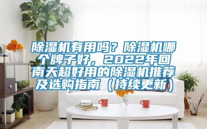 除濕機有用嗎？除濕機哪個牌子好，2022年回南天超好用的除濕機推薦及選購指南（持續更新）