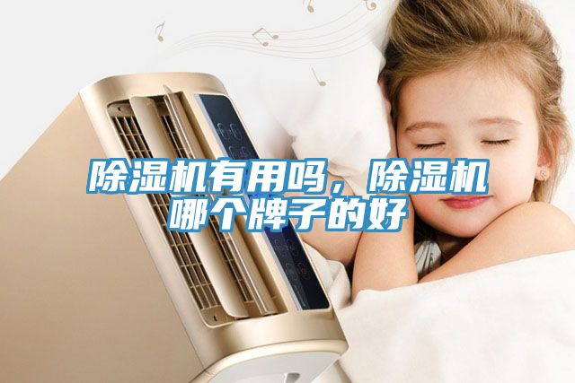 除濕機有用嗎，除濕機哪個牌子的好